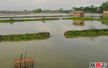 全球变暖会消失的国家,马尔代夫仅比海平面高4.2英尺