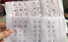 写字教学方法和经验,如何培养学生正确的写字姿势