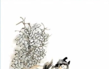 蚕姑娘的民间故事,民间怪奇故事