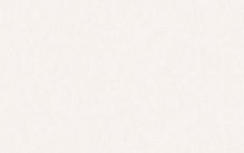 作家阿拉贡,阿拉贡的前世今生