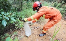 4米长蟒蛇有多重,4米长80斤重的大蟒蛇偷吃家禽