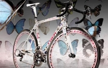 全球最贵自行车排行榜，蝴蝶Trek Madone价值330万