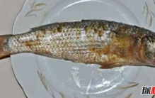 吃了立刻猝死的10种食物 猴脑上榜,第十是肾脏毒药