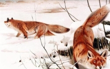 讲述古代民间奇闻异事治狐臭的故事,民间真实奇闻异事古代