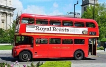 世界上最矮的巴士 高度仅1.2米宽度1米（仅容纳2人）