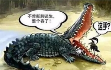 心理学上的十大效应鲶鱼效应,心理学中的鳄鱼效应举例