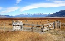 阿根廷发现一个真足蛇化石专家说蛇类没有脚究竟是什么原因