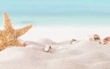 夏天的特点有哪些?夏天的十大特别之处