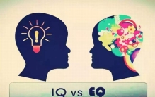 情商和智商的区别是什么?情商和智商哪个更重要