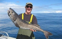 世界上最美的螳螂 兰花螳螂(外形像兰花的蟑螂)