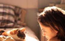 猫恨主人有什么表现?猫咪恨主人的十种表现