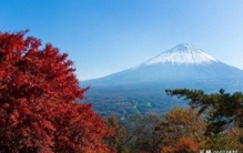 全球最小的私人土地：面积仅有0.3平方米，却让美国政府很头疼