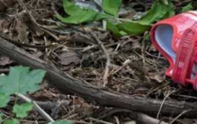 失踪人口都去哪里了?正常人突然失踪的十大原因(惨不忍睹)