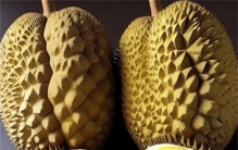 中国人吃掉全球91%榴莲 彰显中国人对于榴莲的热爱