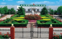 登封市小苍娃农副产品有限公司,登封徐庄镇乡村振兴规划方案