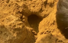 沙子未来会成为重要资源 为啥科学家这么说（重要资源）