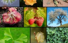 不敢想象!世界上最大的十二座房子，印度总统府7亿多砖块建成