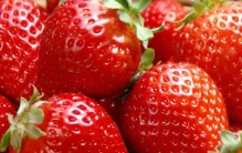 最大的西红柿有多少斤?揭秘世界上最大的西红柿(附图)