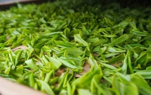 中国十大绿茶排行榜，香气高、滋味浓，茶中精品，看你喝过几款？