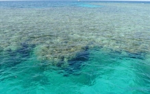 海水中含量最多的元素是什么?对于地球是至关重要的存在