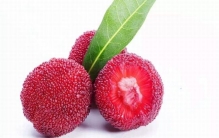 樱桃不能和什么一起吃?吃了樱桃后吃虾会怎样