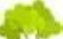 俩甲山故事十六