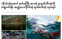 印度怀孕母象被炸死,印度怀孕母象被投喂