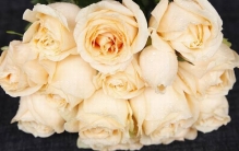 香槟色是什么颜色?介于黄和橘之间的颜色(取自香槟酒)