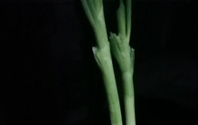 世间奇闻异事,奇闻轶事佳佳