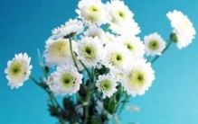 农村丧事摆供,摆香案