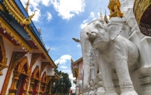 泰国不仅有人妖而且怪事多你都见过哪些人,泰国人妖