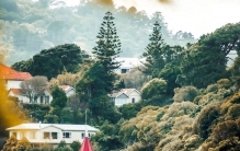 世界上最孤独的国家，被誉为“世界上最后一片净土”-新西兰
