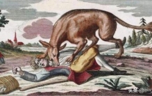 18世纪的热沃当怪兽三年扑咬致死200多人吞食96人的凶残怪兽