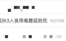 一家三口和两只猫吃毒蘑菇死亡,猫咪病毒感染死亡率