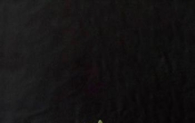 沉默是最好的诠释是什么意思