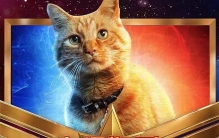 噬元兽为什么之后没出现?噬元兽最后去哪里了