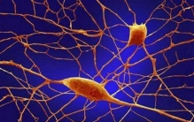 星球存在生命的条件揭秘 什么样的星球才能存在生命