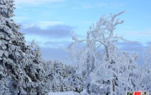 什么会引起世界末日?世界末日到来的十大因素