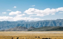 世界上10件趣事,各个国家有趣的事