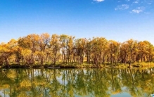 青山绿水看内蒙古丨层林尽染的最美秋景