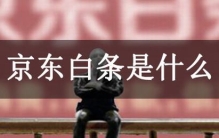 京东白条是什么?京东推出的“先消费后付款”的支付方式