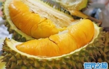 榴莲不能和什么一起吃，榴莲加牛奶比眼镜蛇毒还深