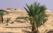 世界上最热的地方 伊朗东部的沙漠（卢特沙漠）