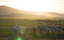 如何理解色温与白平衡,如何区分色温和白平衡
