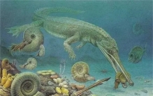 科学家发出警告 第六次大灭绝即将到来（生物灭绝）