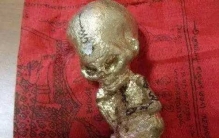 养小鬼有科学依据？养小鬼被反噬是真的吗（网络传闻）