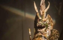 镇阴镇阴棺「挖出镇阴兽铁棺材怪不得这里总出事」