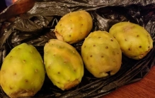 埃塞比亚旅游,埃塞俄比亚之旅