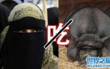 回族人为什么不吃猪肉原因，古兰经中真主的吩咐