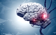 科学发展到如此地步 大脑可以直接传递信号（大脑接口）